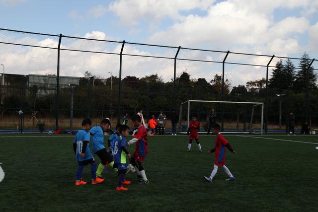 CBA官方：杨鸣进场质疑裁判被禁赛3场罚款3万